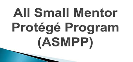 All Small Mentor Protege Program